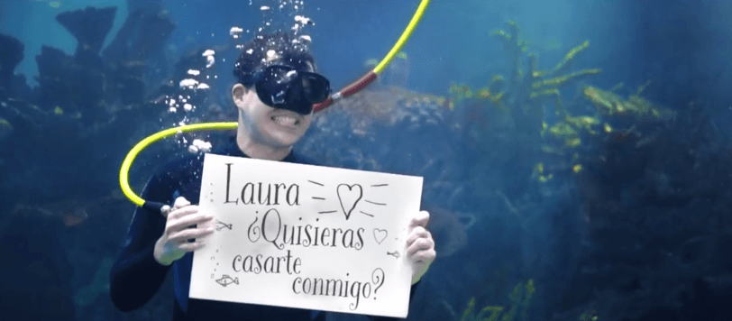 Luego aparece dentro del acuario con un letrero como este.