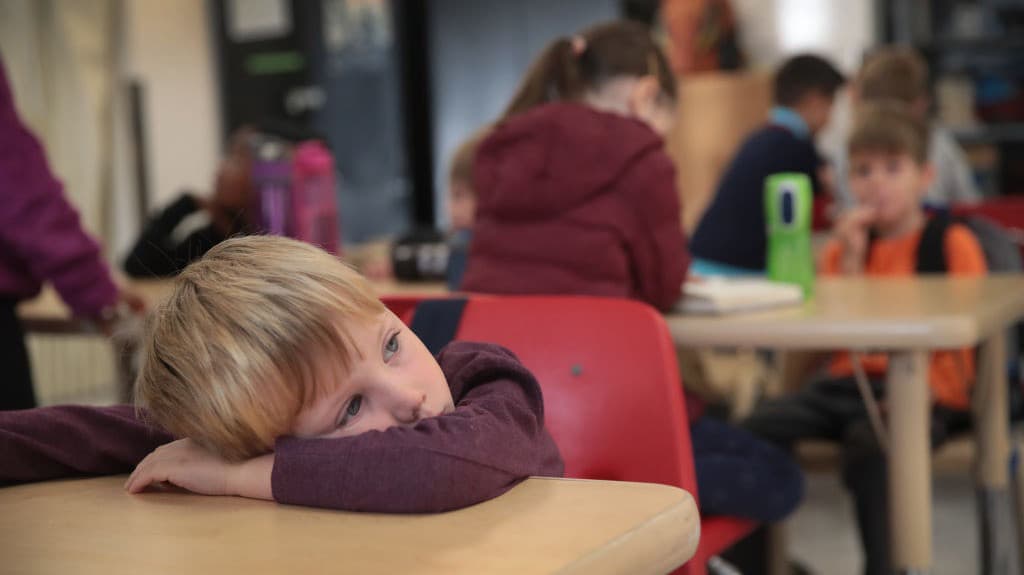 Acoso escolar: cómo saber si un niño está siendo víctima y qué hacer para evitarlo