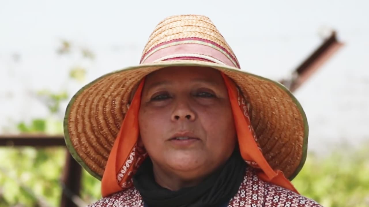 “Siempre estamos al tanto”: Así es como previenen el acoso sexual a trabajadoras agrícolas en los campos