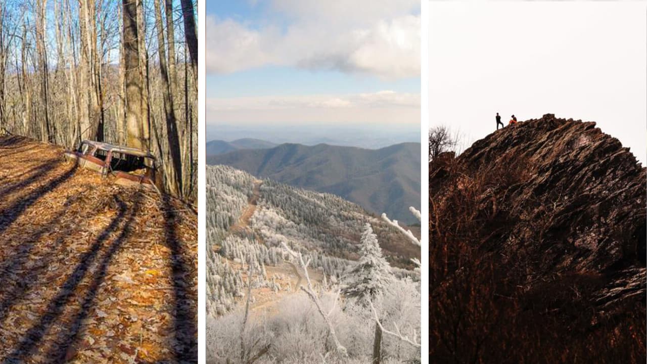 5 senderos para visitar en familia este invierno en Carolina del Norte