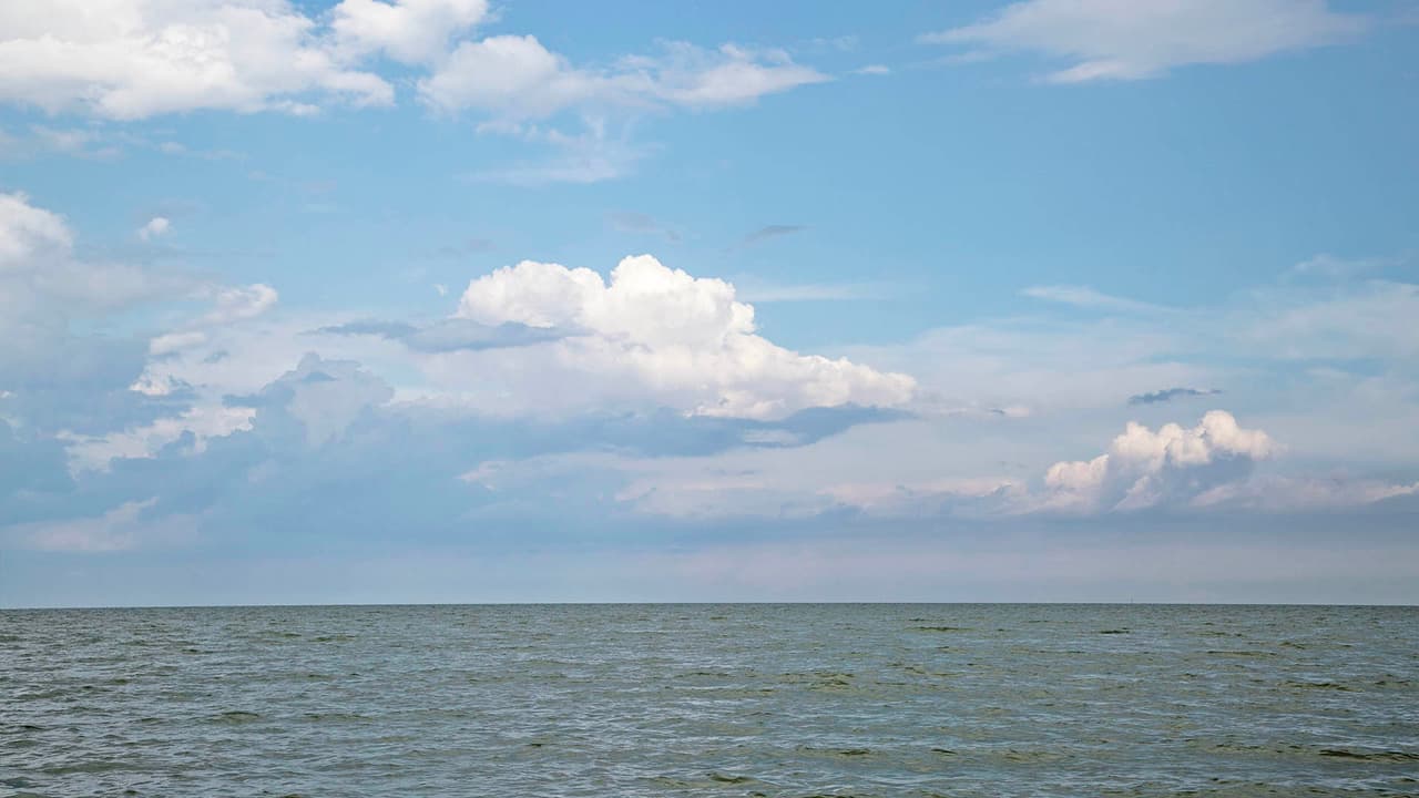 En estos meses es importante llevar repelente de mosquitos.