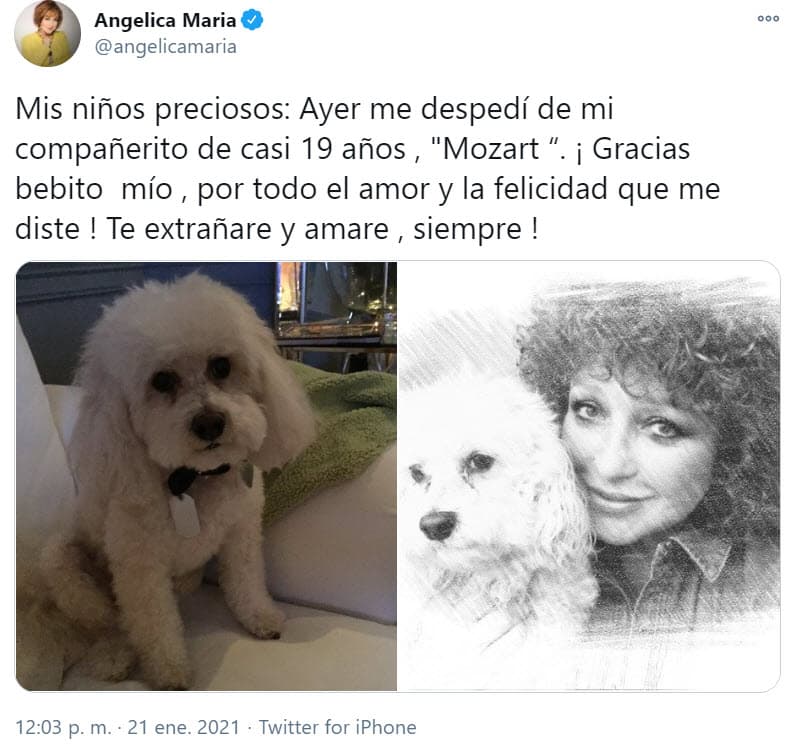 <b>Mozart</b>, su mascota de la raza poodle, murió el pasado 20 de enero y con un mensaje 'La Novia de México' le agradeció por su cariño durante 
<b>casi dos décadas.</b>