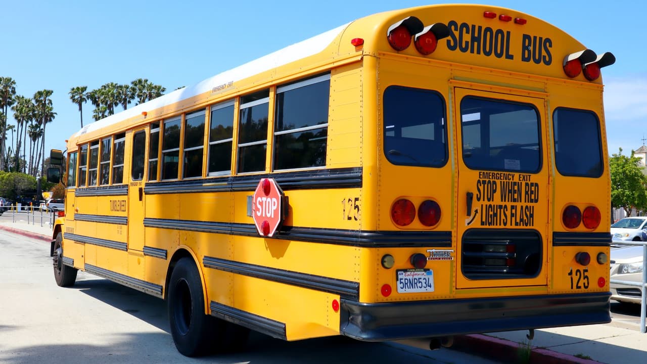 <h3 class="cms-H3-H3">Consejos prácticos para hoy </h3>
<br>
<b>Maneja con precaución</b> cerca de escuelas y paradas. 
<br>
<b>Respeta siempre las señales</b> del autobús. Ante la duda, detente. 
<br>
<b>Enséñale a tus hijos </b>que crucen al frente del bus solo cuando el chofer lo indique. 
<br>
<b>Pregunta a tu distrito escolar</b> sobre los plazos para instalar cinturones.