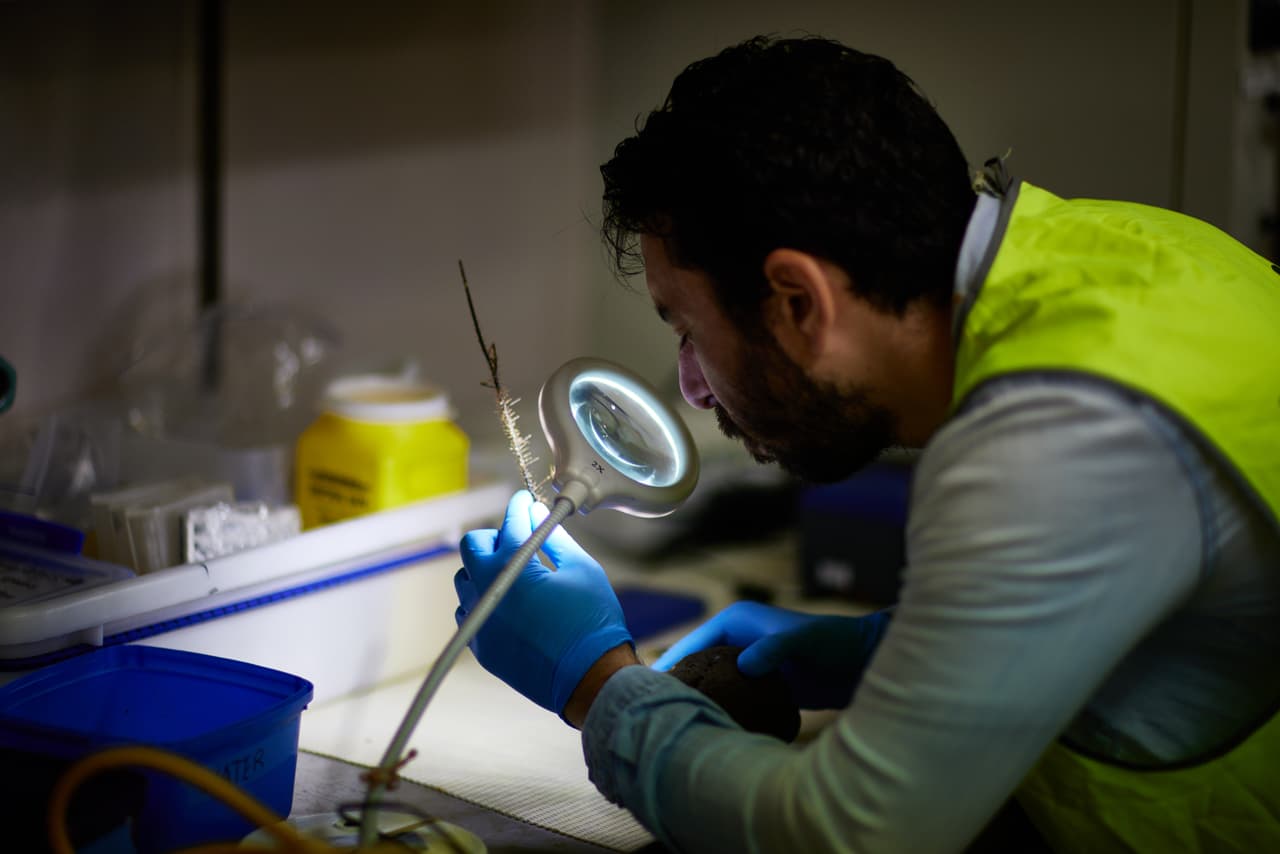 El viaje a bordo del barco Investigator de la Facultad Nacional Marina duró 35 días y recorrió 6,835 millas. Los videos submarinos capturados han revelado diversas vidas de peces que se ciernen sobre las cumbres de los montes submarinos, cuyas muestras se 
<b>han recogido a profundidades de hasta 3.10 millas de profundidad</b>.