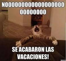 Nos vemos hasta el invierno. 😢