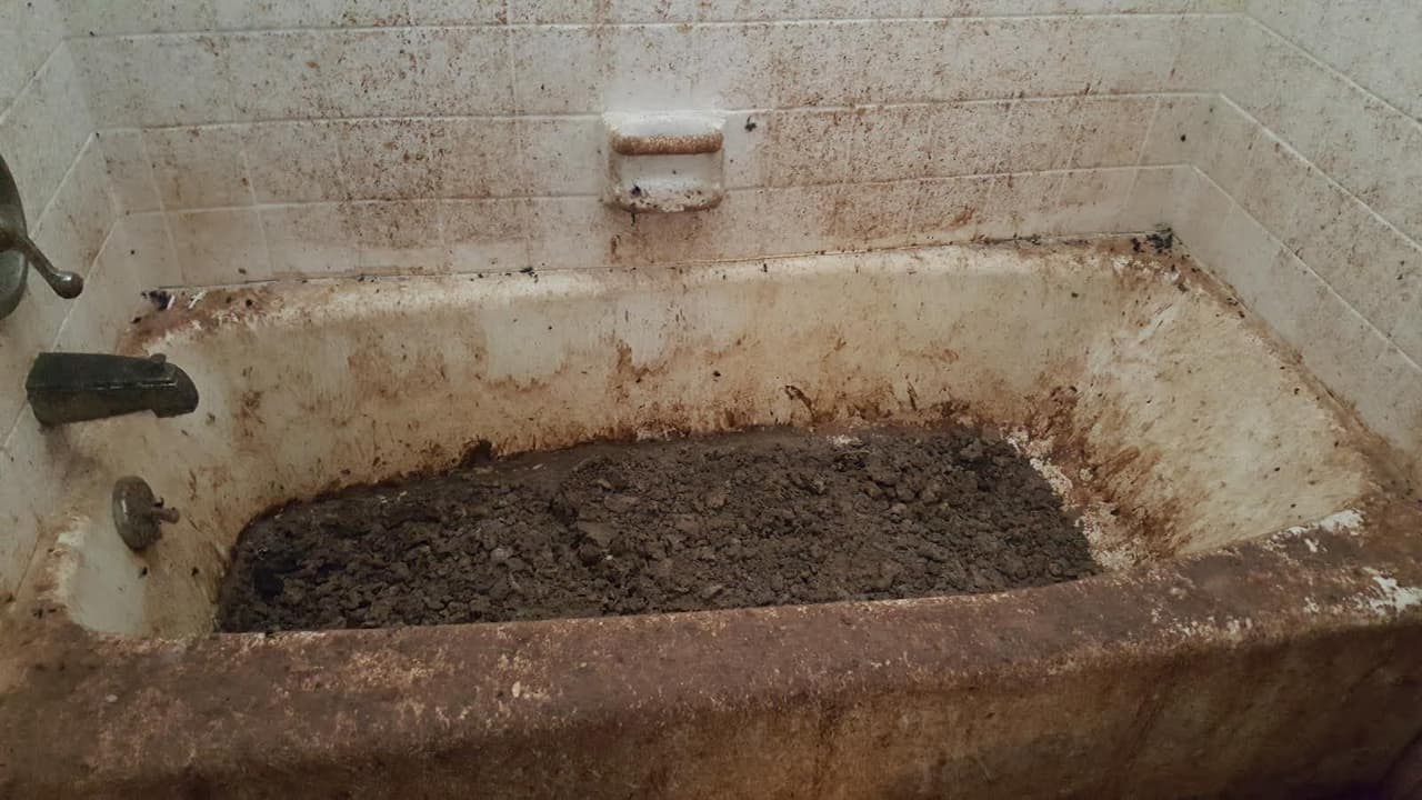 La casa estaba cubierta de una pelusa pegajosa compuesta por pieles de gato, orines, polvo y escombros.