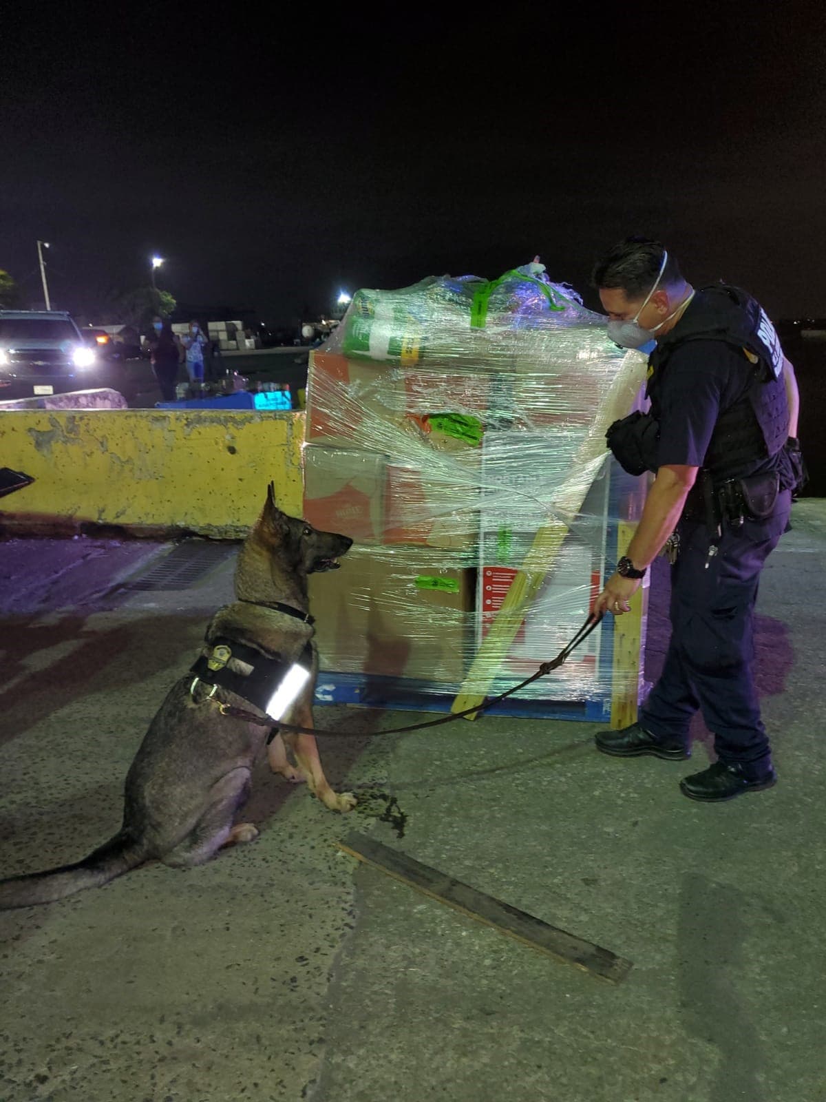 “Se puede transportar moneda legal si se declara debidamente según el ordenamiento estadounidense. Las Organizaciones Criminales Transnacionales buscan ocultar ganancias y moverlas como parte de sus actividades criminales”, indicó Gregory Álvarez, Director de Operaciones de Campo en Puerto Rico y las Islas Vírgenes de los Estados Unidos.