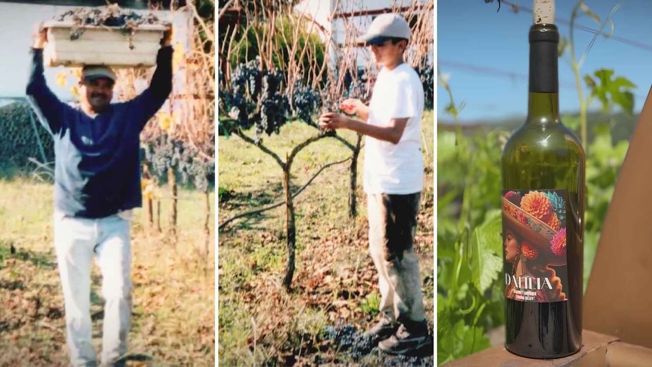 La cata del esfuerzo: De trabajar la tierra a dueños de su propia marca de vino al norte de California