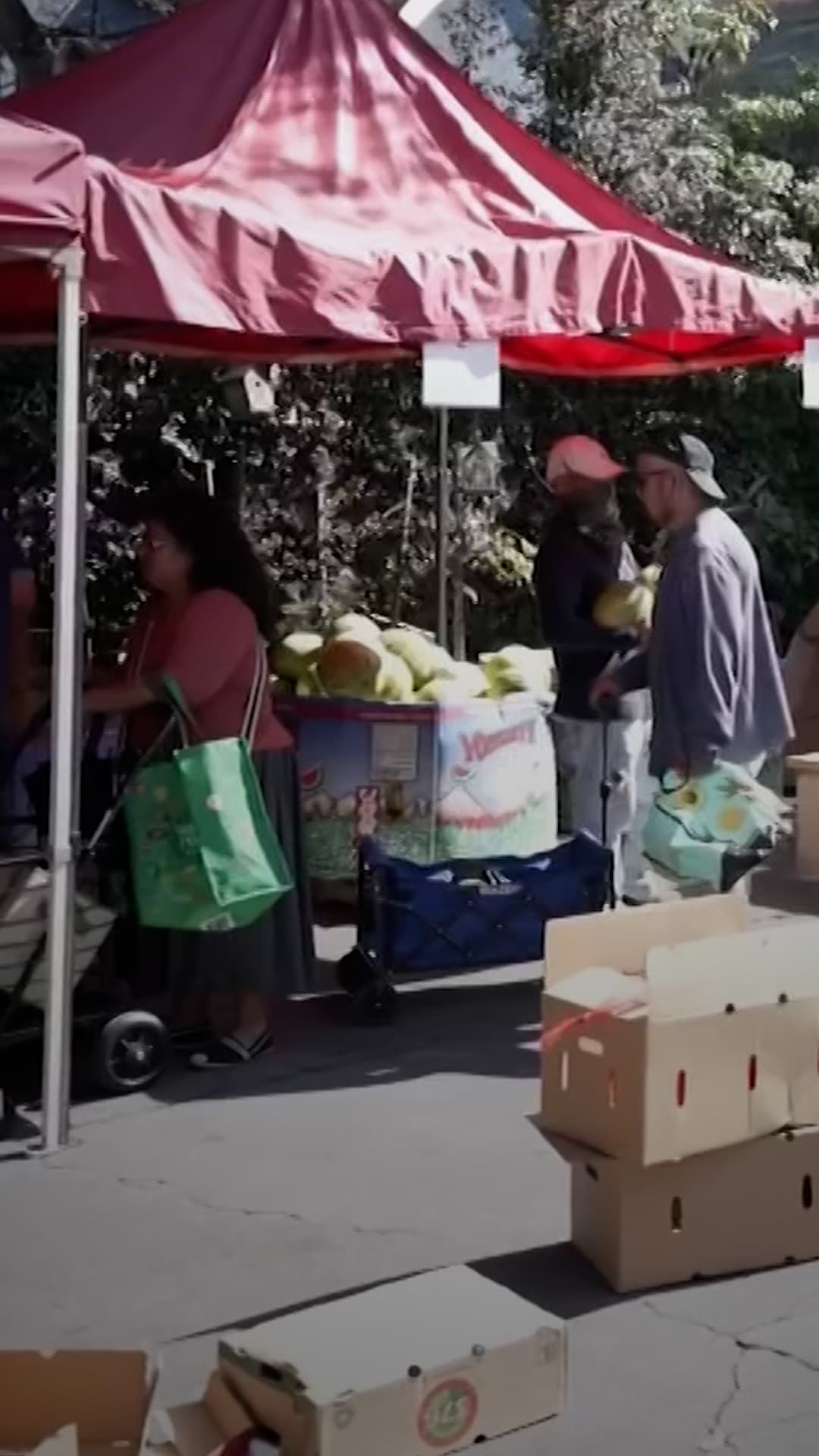 Cambios en SNAP afectan a millones de familias: Dejarán de calificar para esta ayuda