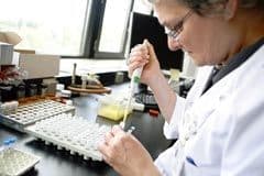 Piden más visas para empleados especializados en EEUU