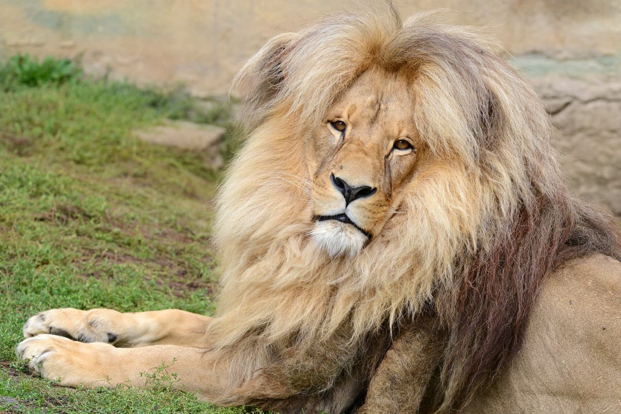 ¿Cuál será su secreto? ¡Que nos lo cuente!