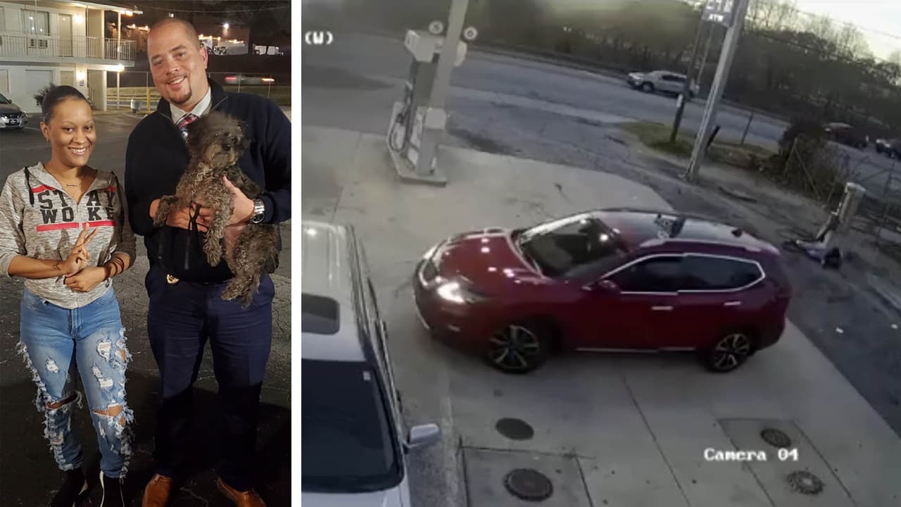 Encuentran a mascota que estaba en auto que fue robado a anciana en Dekalb