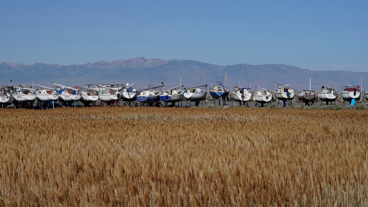 Un grupo de botes de vela retirados del agua descansan en un muelle seco en la Marina Great Salt Lake cerca de Salt Lake CIty el 4 de junio de 2021. Los botes fueron retirados del agua para evitar que se quedaran varados en el fango.
