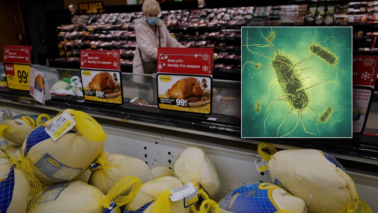 Cena de Thanksgiving: estas son las bacterias más comunes que puedes encontrar en un pavo mal cocinado
