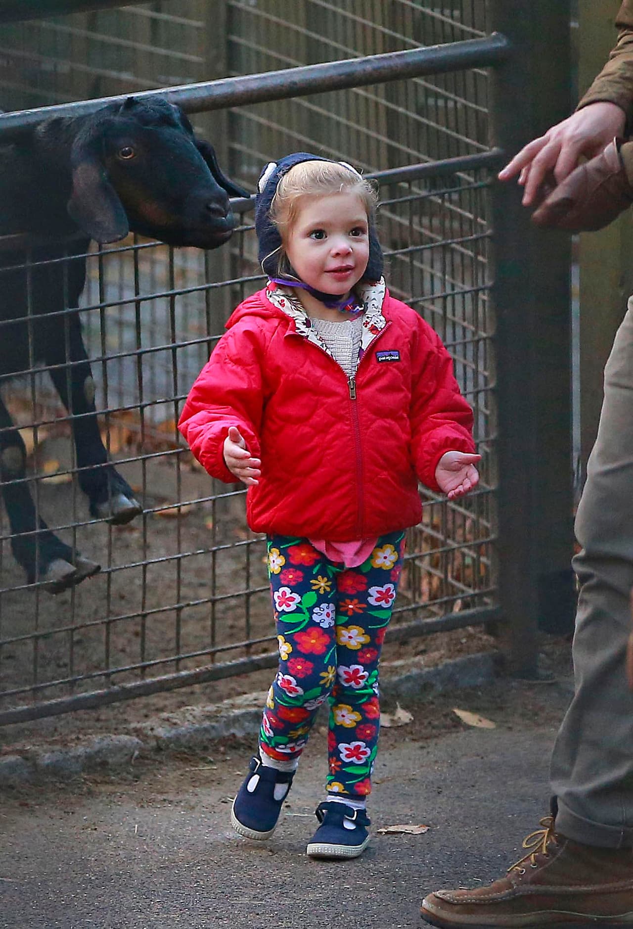 Olive fue un poco más tímida y vio los animales desde lejos.