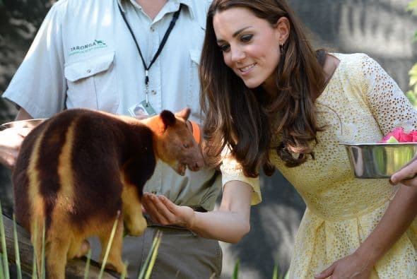 Que se ubica en Sidney.