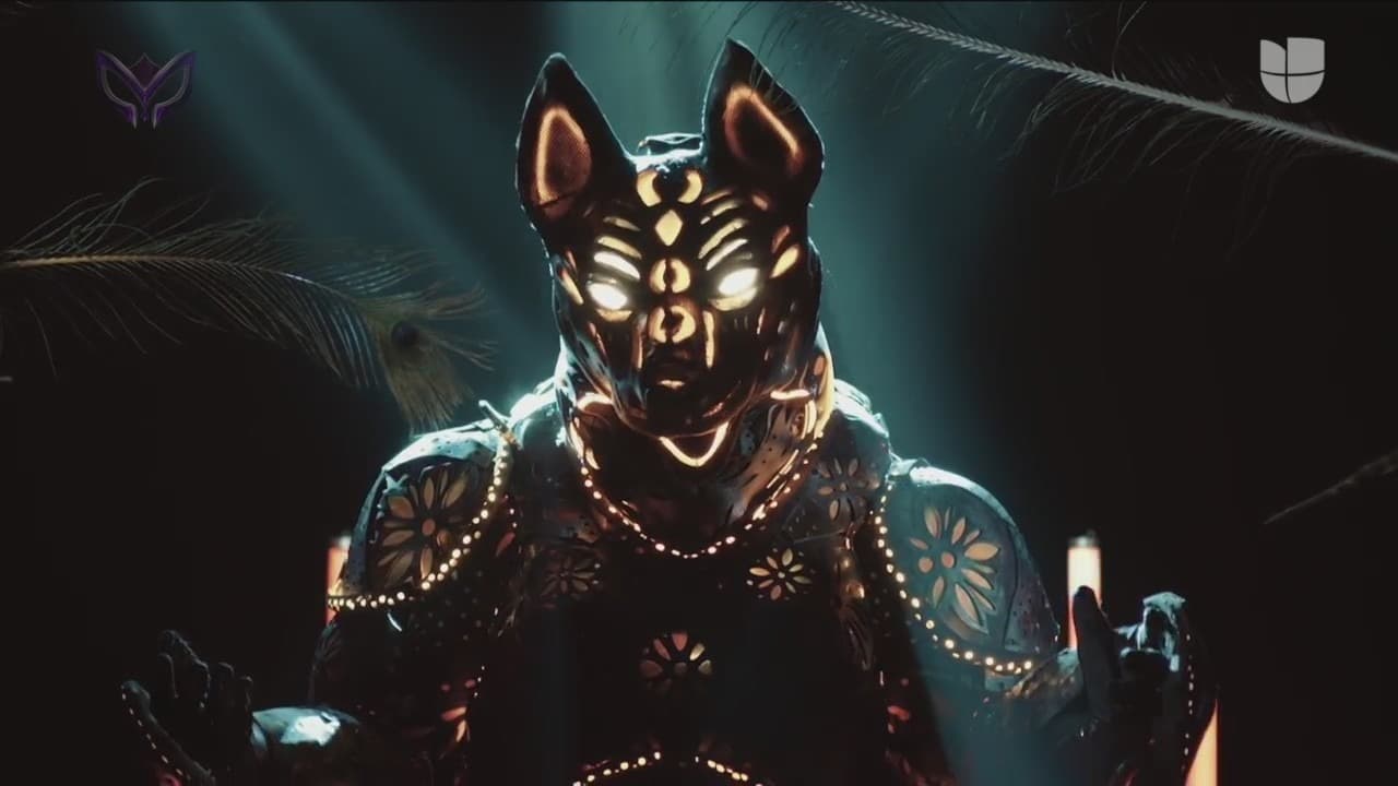 En tercer lugar apareció Xolo, un ser lleno de misticismo y con mucha actitud.