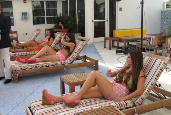 Tomando un poco de sol.