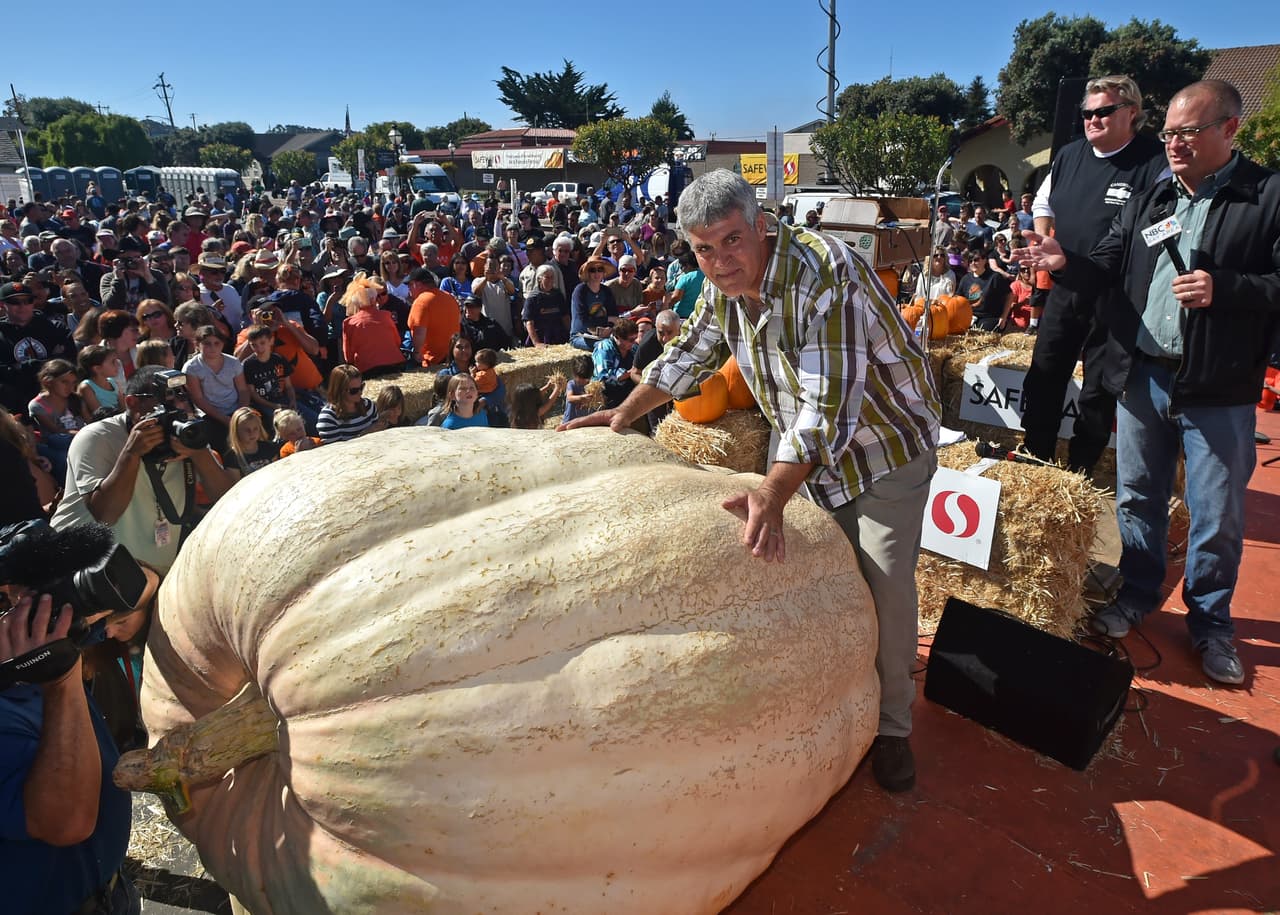Decenas de personas se dieron cita en el Campeonato Mundial Anual Safeway de Calabazas, en California, para poder observar calabazas gigantes de traídas desde varios estados de la nación.