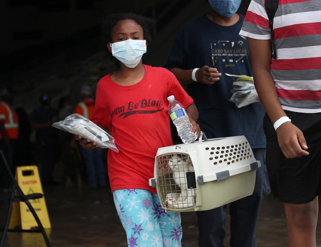 Marae Leblanc, de 9 años, carga a Foxy, su gato, mientras ella y su familia junto con otros evacuados se preparan para abordar un autobús, antes de la llegada del huracán Laura, en Lake Charles, Louisiana.