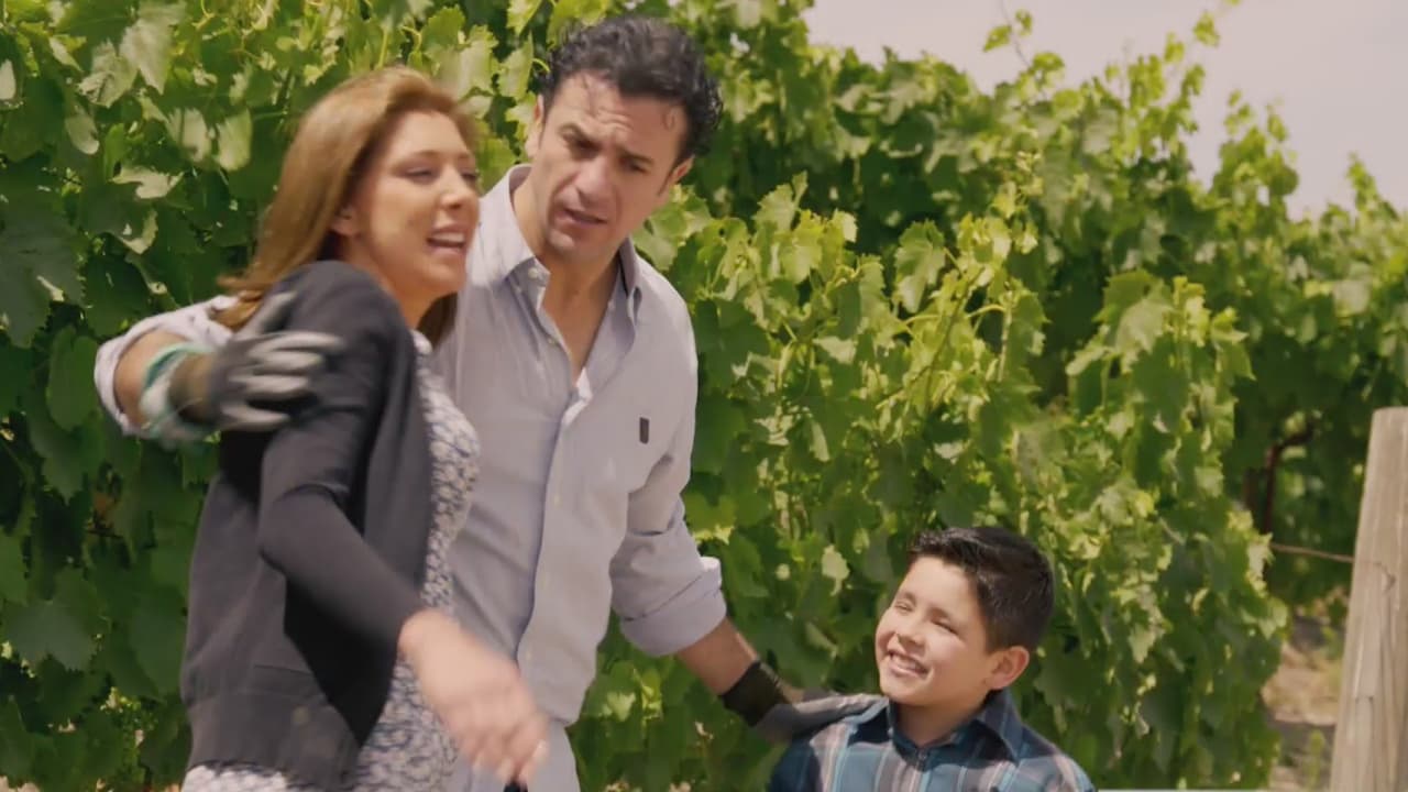 Telenovela 'Vino el amor' toca el sensible tema de inmigración en Estados Unidos