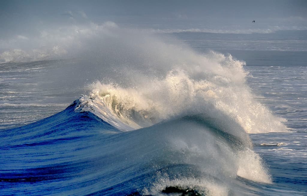 Este 27 de diciembre, el Servicio Meteorológico Nacional activó una advertencia de alto y fuerte oleaje e inundaciones costeras para el centro y sur de California.