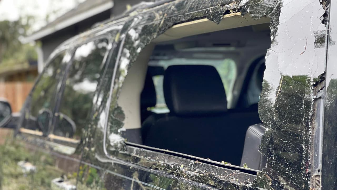 Varios árboles cayeron encima de automóviles causando destrozos como este en el
<a href="https://www.google.com/maps/place/Brazoria+County,+TX/@29.1808034,-96.0257563,9z/data=!3m1!4b1!4m5!3m4!1s0x8640e906929201c7:0xe4471403a3d0c835!8m2!3d29.2131857!4d-95.4777811?hl=en" target="_blank">condado Brazoria. </a>