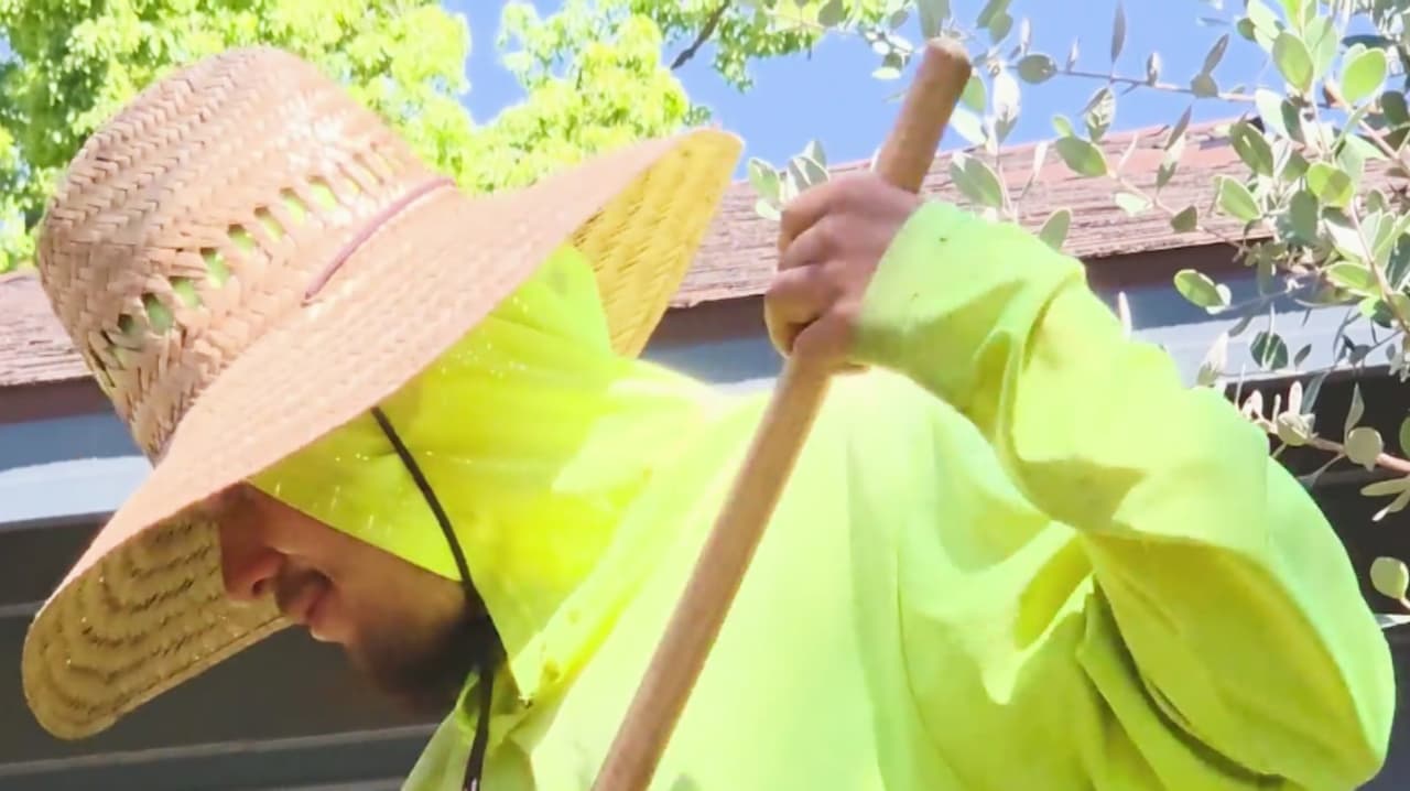 “Está muy pesado”: Piden a trabajadores tomar precauciones ante calor extremo en el Valle Central