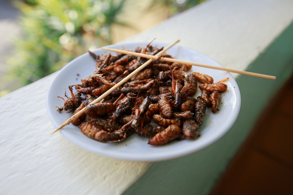 <b>Acuario - Regido por Acuario</b>
<br>
<b>Gustos exóticos e imprevisibles</b>
<br>Como corresponde a la naturaleza de tu signo todo lo imprevisible, exótico y creativo te atrae. Por ese motivo muchas veces estás inventando recetas con ciertos ingredientes a los cuales no estás acostumbrado y tu cuerpo reacciona de forma defensiva.