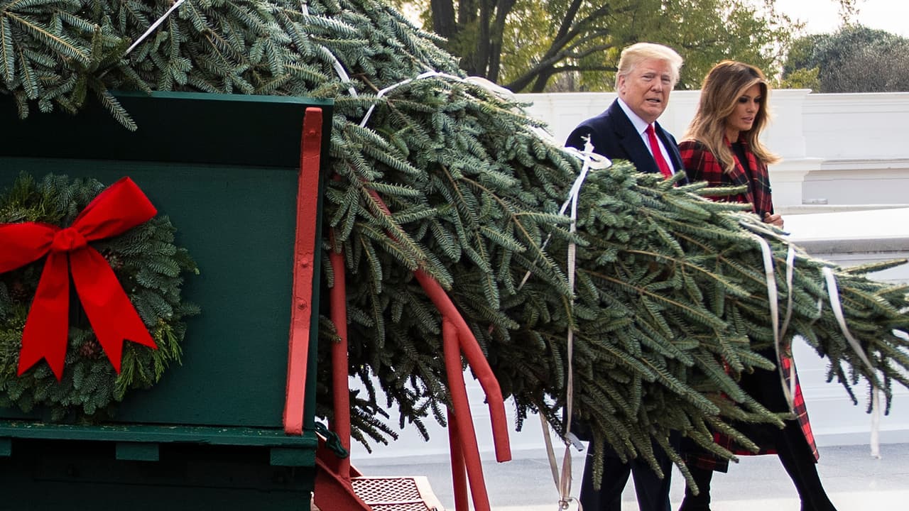 El tradicional árbol de Navidad llegó en un carruaje al pórtico norte de la Casa Blanca. El presidente
<b><a href="https://www.univision.com/temas/donald-trump">Donald Trump</a></b> y su esposa
<b><a href="https://www.univision.com/temas/melania-trump">Melania</a></b> salieron a recibirlo mientras una banda militar tocaba canciones navideñas.