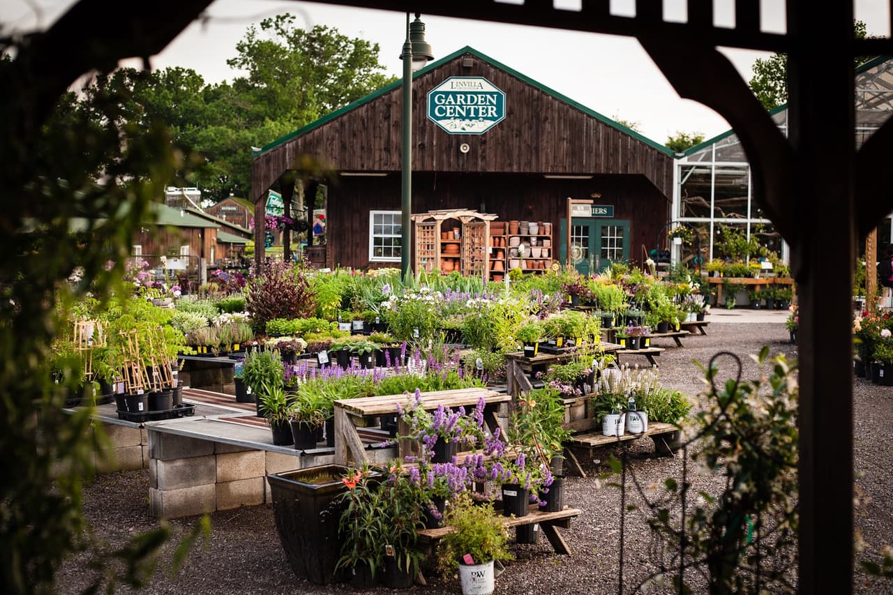 Encontrarás pasteles exclusivos, salsas caseras y guacamole. The Orchards Garden Center presenta una variedad de plantas anuales, perennes, hierbas, suculentas, árboles frutales, arbustos, árboles de hoja perenne, suelos, mantillos, herramientas de jardín y productos para el cuidado de las plantas.