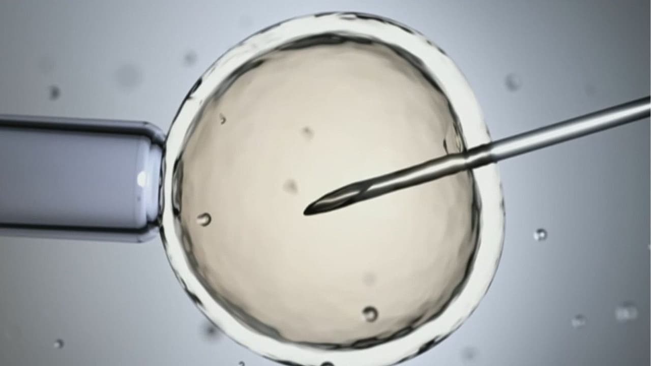 ¿Por qué cada vez son más los estadounidenses que buscan tratamientos de fertilidad en el extranjero? Especialista analiza