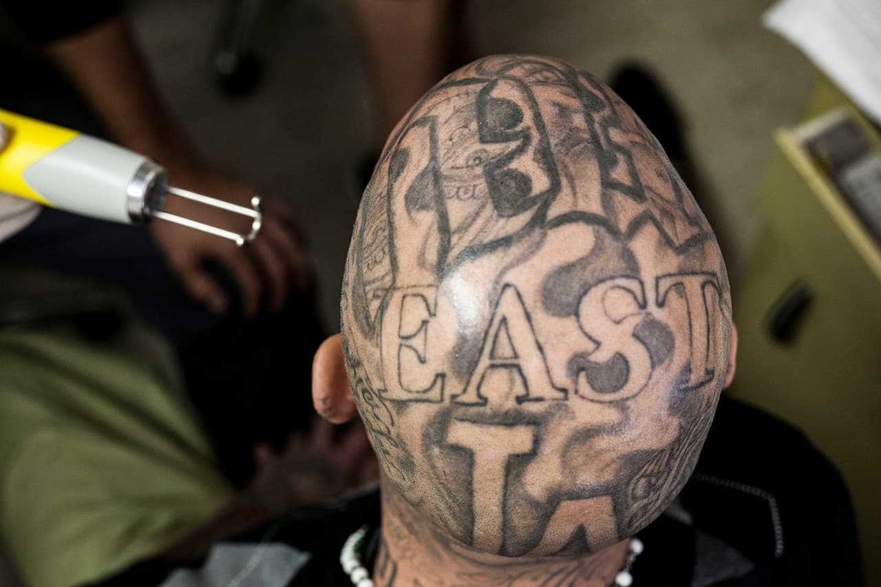 Borrar tatuajes de gran tamaño puede tomar entre 7 y 9 sesiones. Los pigmentos más complejos de borrar del todo son el verde y el azul. Por el contrario, el blanco y el negro desaparecen casi completamente.