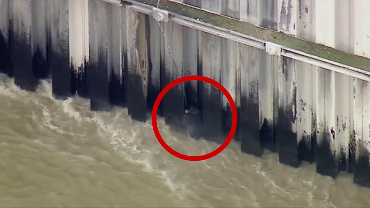 Así fue el rescate de un hombre en un río de Boyle Heights