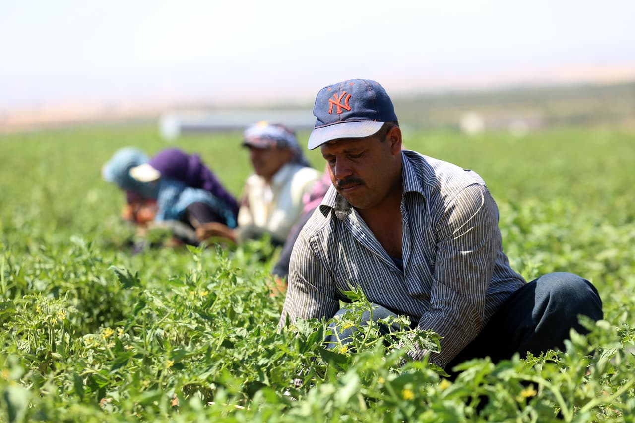 Derechos laborales en California: qué hacer si trabajas al aire libre en días de calor extremo