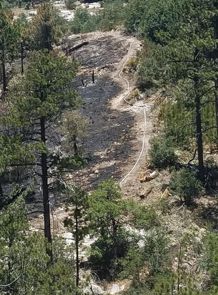 ¿Tiene preguntas sobre 
<a href="https://www.univision.com/local/arizona-ktvw/bighorn-fire-se-mueve-hacia-finger-rock-en-front-range-de-las-montanas-de-catalina-fotos">el incendio de Bighorn</a>? Habilitan la línea 520-329-7439 o al (520) 276-8981,desde las 8 AM hasta las 8 PM para responder preguntas y resolver dudas del incendio Bighorn. Este número es administrado por el Servicio Forestal
<br>