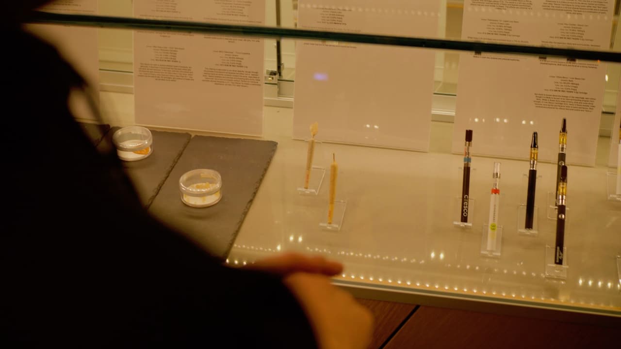 <a href="https://www.univision.com/local/chicago-wgbo/advierten-a-quienes-estan-pasando-por-procesos-migratorios-sobre-el-uso-de-marihuana-en-illinois">A nivel federal, la marihuana sigue siendo ilegal,</a> por lo que si eres inmigrante, tienes que tratar con autoridades federales. Para ellos, el consumo y posesión de droga, es un delito. Así que participar en el negocio de drogas legales, consumir o comprar, es un problema para inmigrantes.