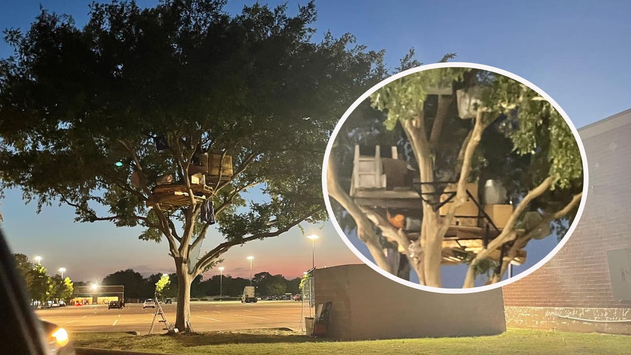 Desamparado construye su casa sobre un árbol cerca del área de ‘The Galleria’ en Houston