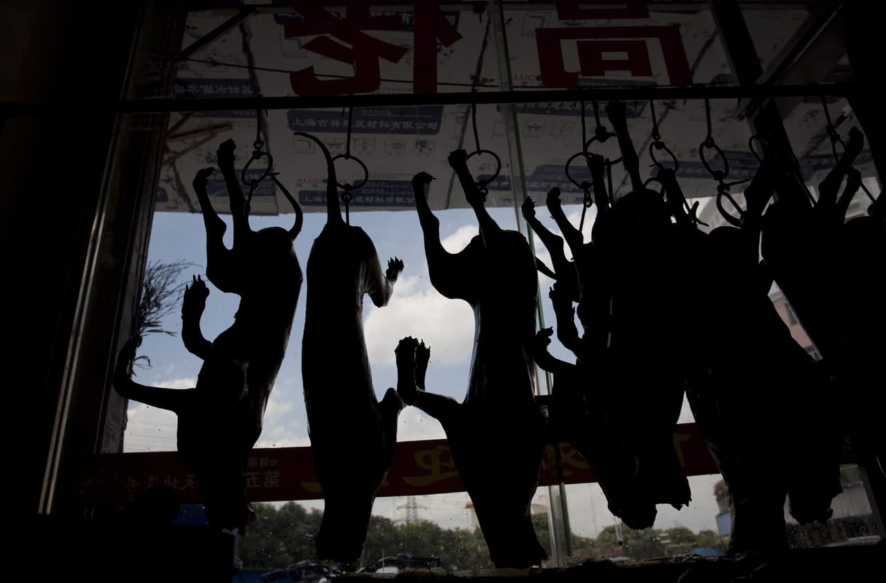 En los últimos años, otros festivales de carne de perro han sido prohibidos por las autoridades chinas después de que manifestantes llamaron la atención sobre ellos.