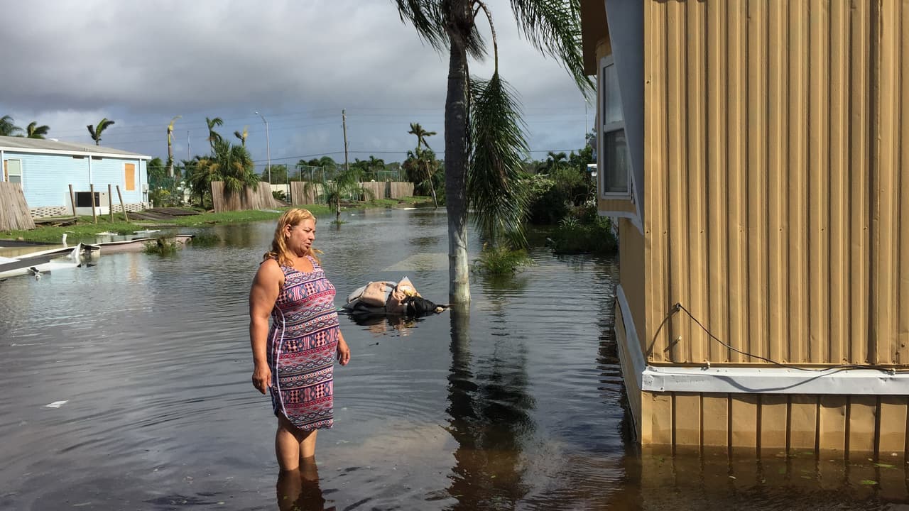 Increíblemente en pie: así encontramos las calles por donde entró Irma a la península de Florida 