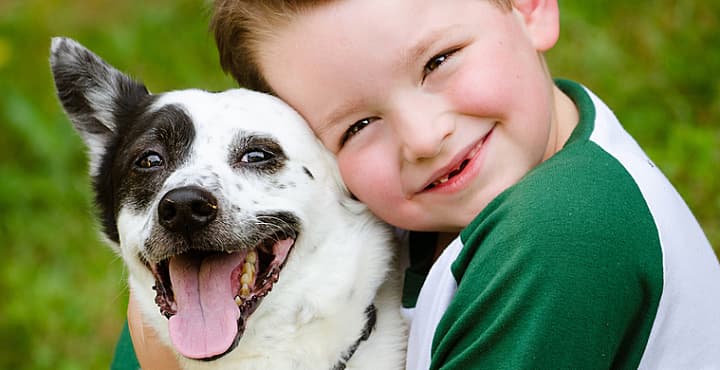 Una mascota en casa: consideraciones a tomar en cuenta