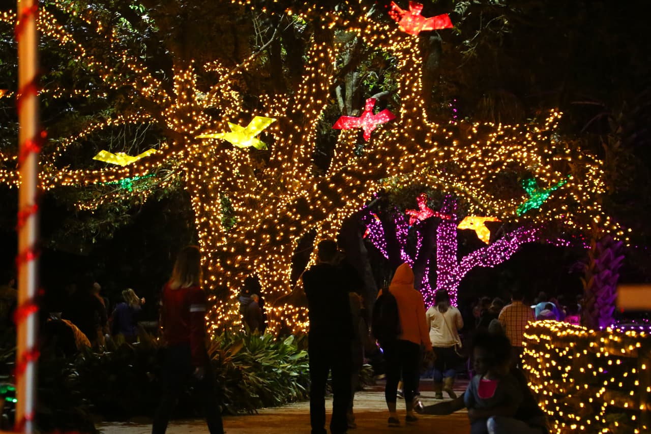 Los visitantes transitan por extensos pasajes iluminados con millones de focos navideños.