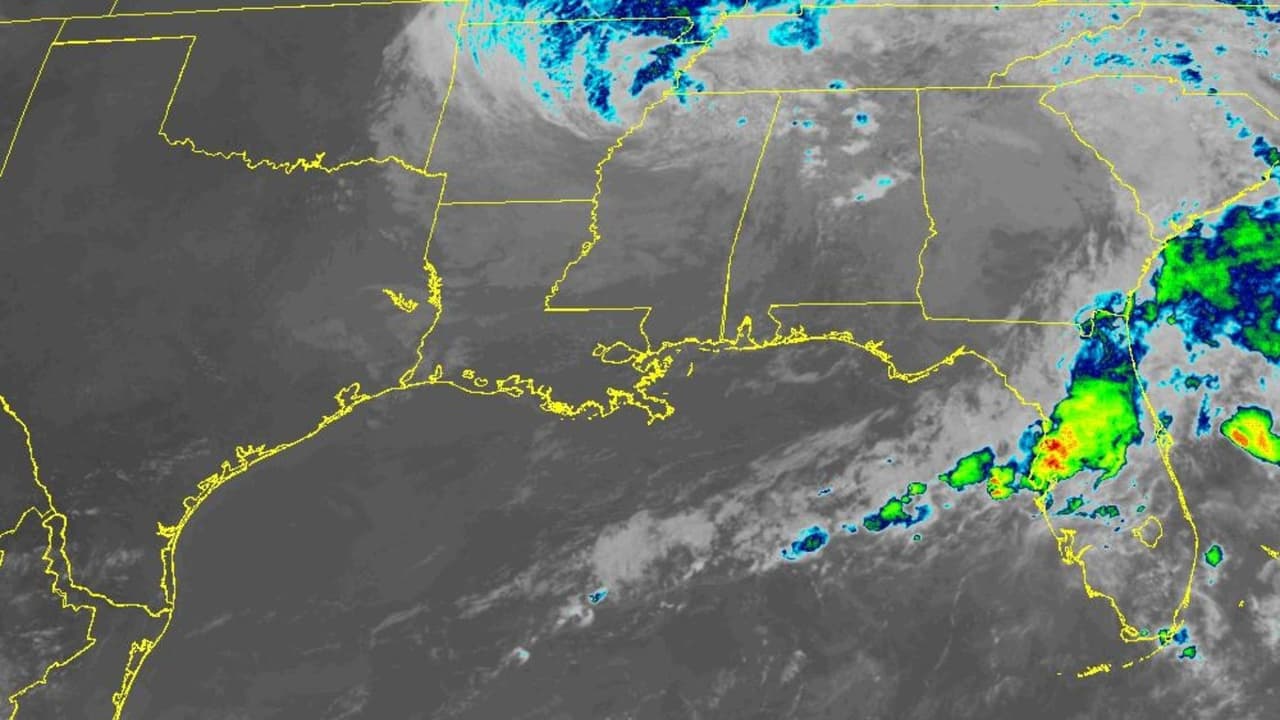 Alerta de inundaciones y corrientes de resaca en Tampa por la tormenta Francine