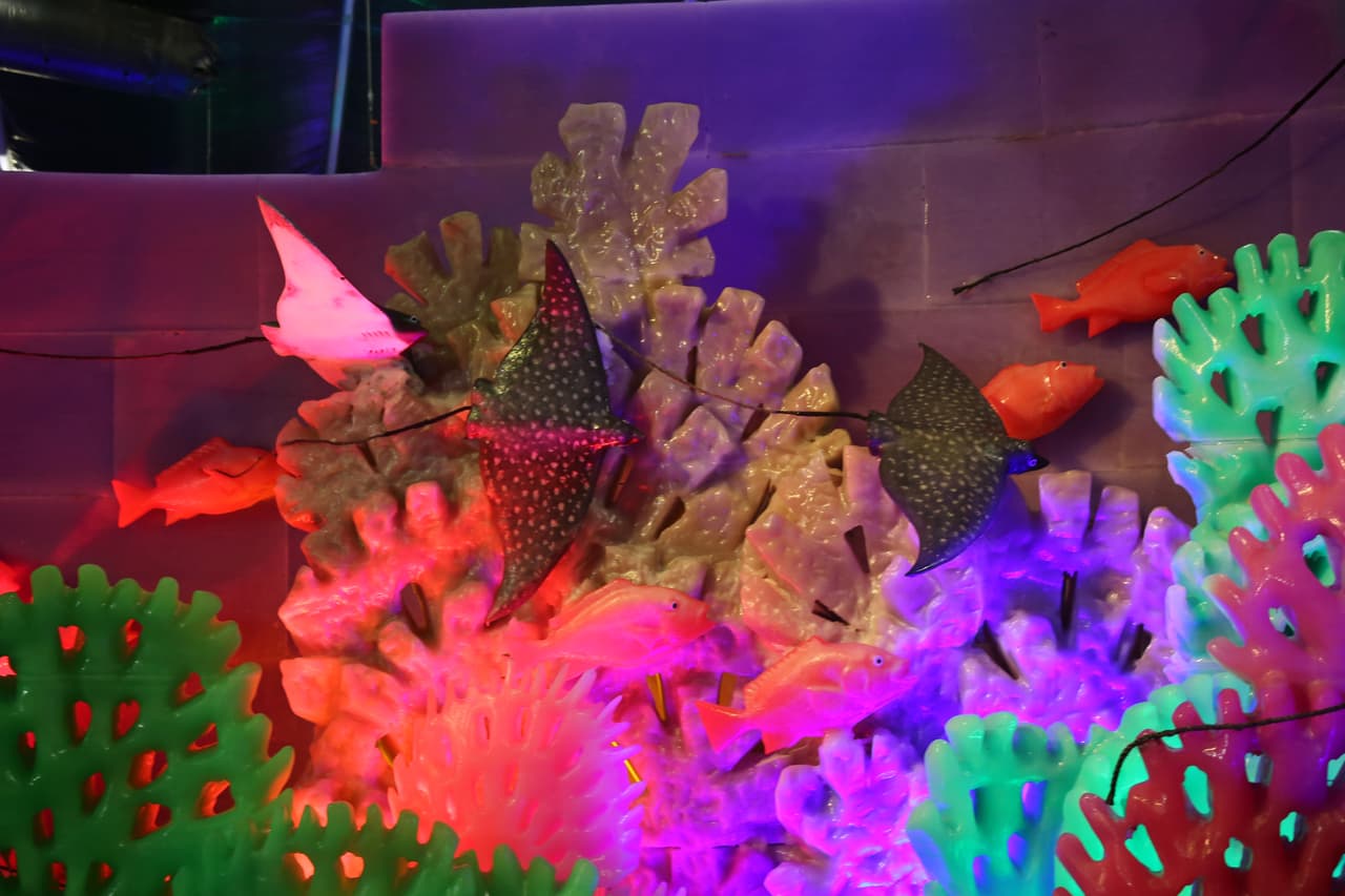 Algas marinas, manta rayas y diferentes especies de peces aparecen a lo largo de la exhibición.