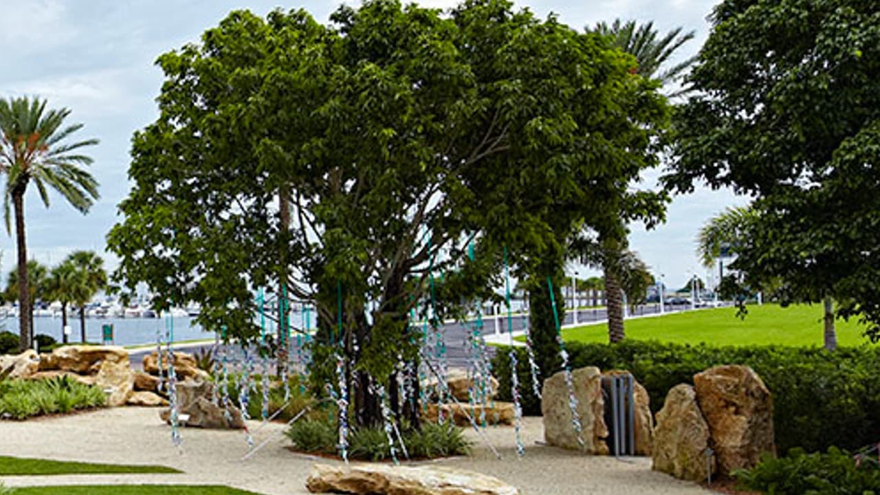Ian derriba el "Árbol de los Deseos" del museo Salvador Dalí en San Petersburgo