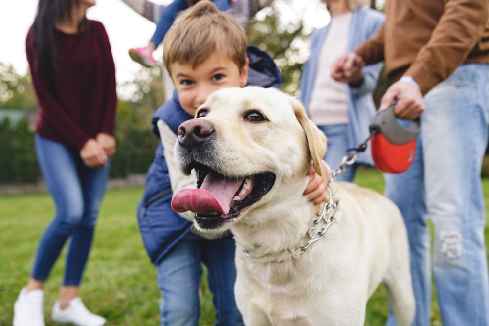 <b>SAGITARIO</b>
<br>Como Aries, a ellos también les encanta estar en plena aventura, así que también se identifican con los animales que aman estar en libertad o explorando cualquier rincón de la naturaleza. Por ello, un perro grande y curioso como un labrador, golden retriever o pastor alemán sería irresistible.