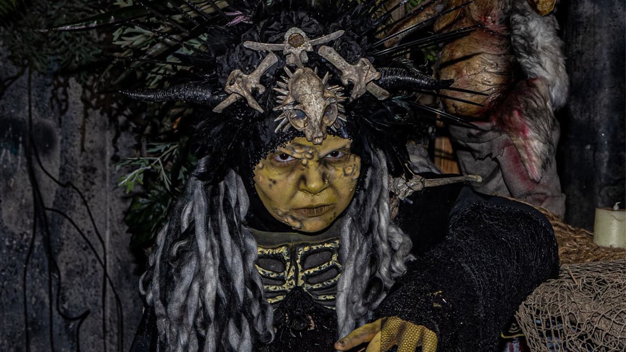 <b>Screams Park</b>
<br>
<b>Waxahachie, Texas</b>
<br>¿Te gustan las series y películas de zombies? ¿Crees que puedas correr o huir de ellos? Este parque es muy grande y promete hacerte correr mucho con sus muertos vivientes. Lo más asombroso es que tiene ¡5 casas de espantos! Todas son con distintas temáticas. Y un montón de atracciones como Karaoke, juegos, bebidas y comidas.