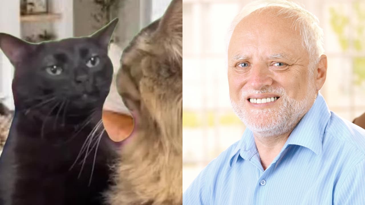 Cosas que casi todas las mujeres detestan de su pareja cuando ya viven juntos: "¡Baja la tapa del WC!"