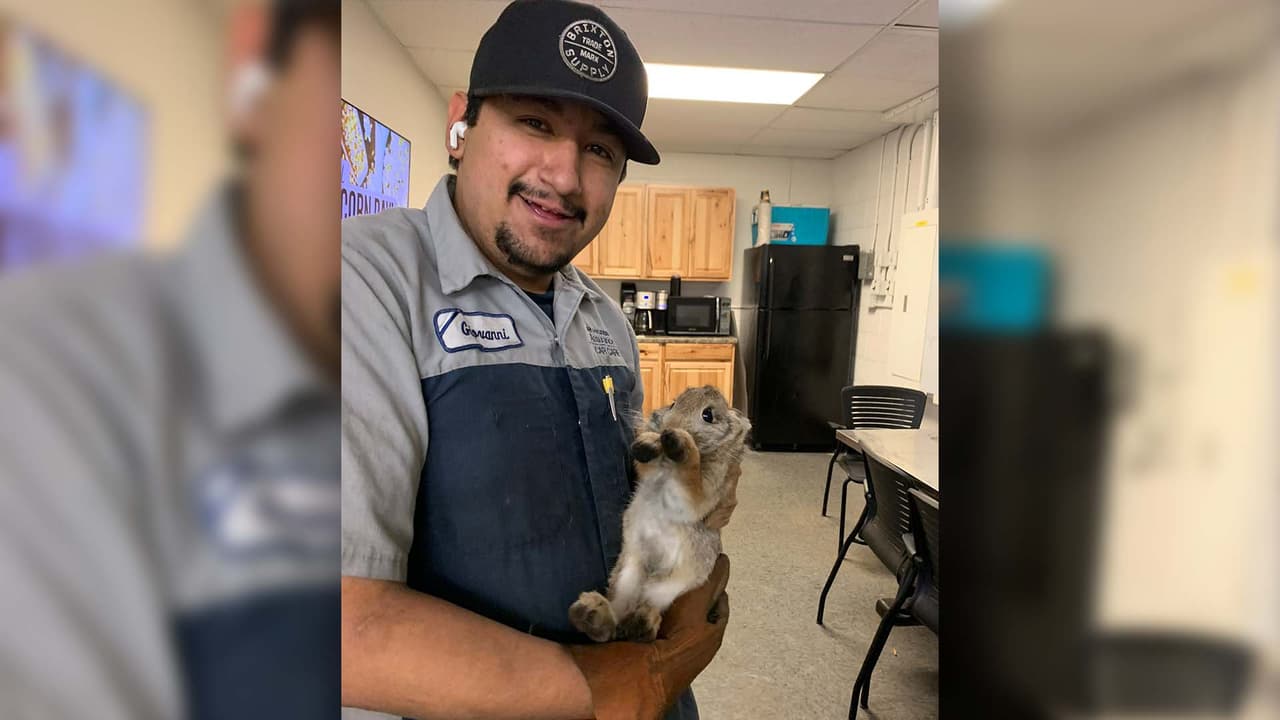 Hombre lleva su auto al mecánico por una falla y descubren una gran sorpresa