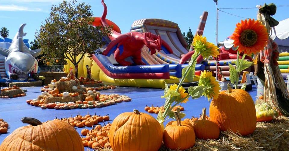 <b><a href="https://abctreefarms.net/" target="_blank">Pick of the Patch Pumpkins</a></b>: 
<br>Con entrada completamente gratis, pero con costo para alguna de sus atracciones, Pick of the Patch Pumpkins abrió sus puertas desde mediados de septiembre.
<br>Dirección: 101 W. Avenida Vista Hermosa, San Clemente.